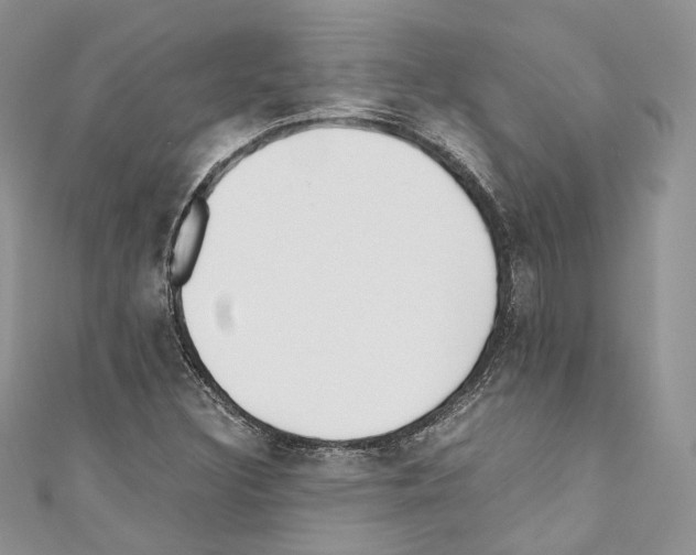 X0000110771308200907271156