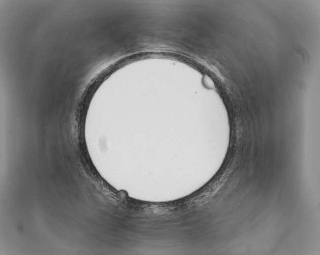 X0000110771311200907271156