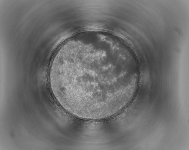 X0000110771314200907271156