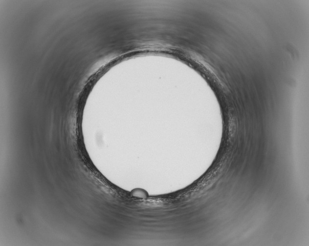 X0000110771315200907271156