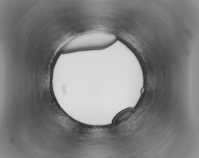 X0000110771316200907271156