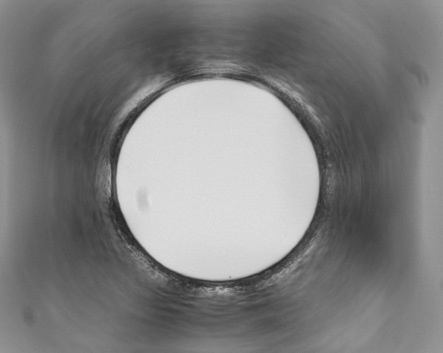 X0000110771317200907271156