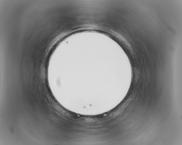 X0000110771318200907271156