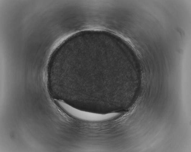 X0000110771319200907271156