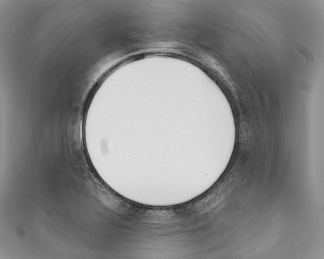 X0000110771320200907271156