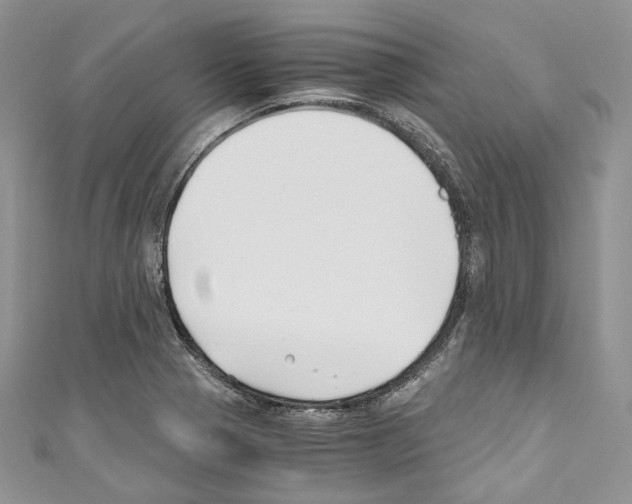 X0000110771321200907271156