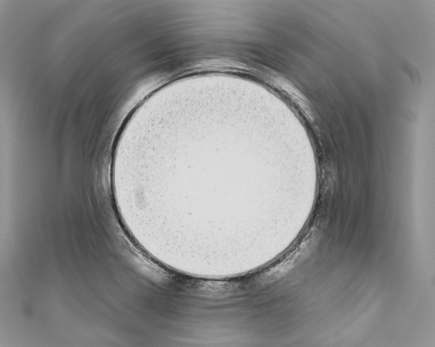 X0000110771322200907271156