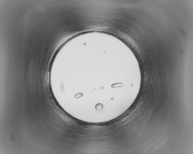 X0000110771324200907271156