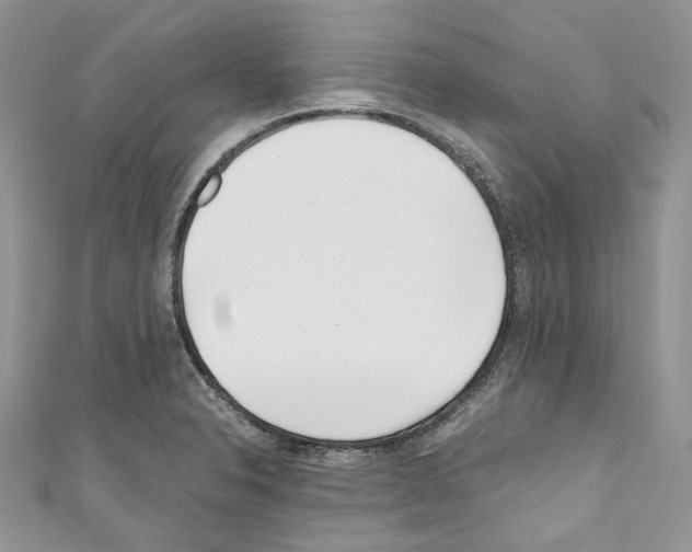 X0000110771326200907271156