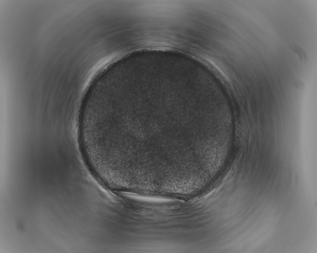 X0000110771327200907271156