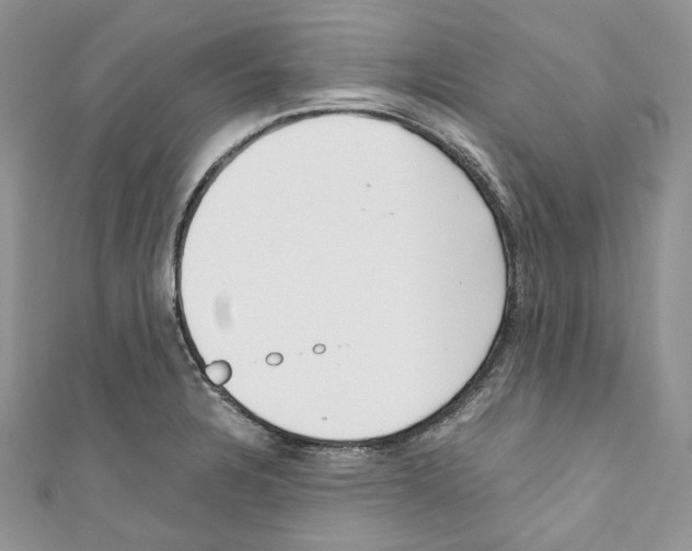 X0000110771328200907271156