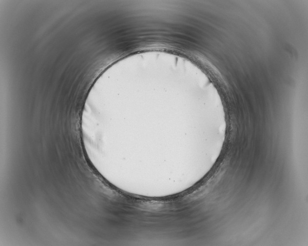 X0000110771329200907271156