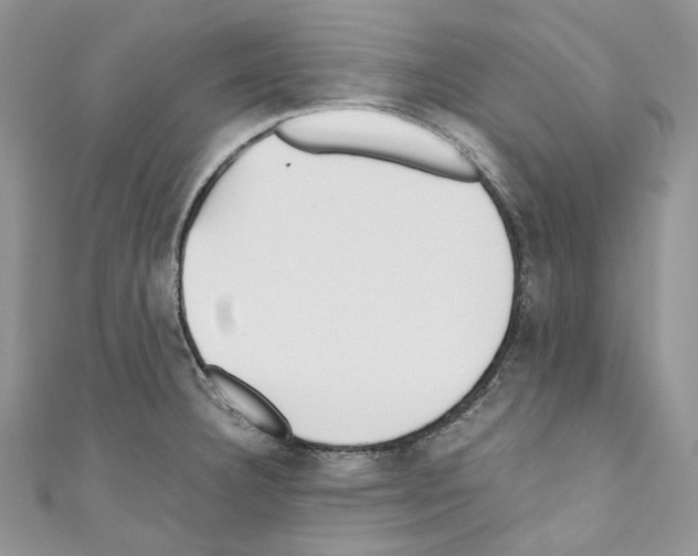 X0000110771332200907271156