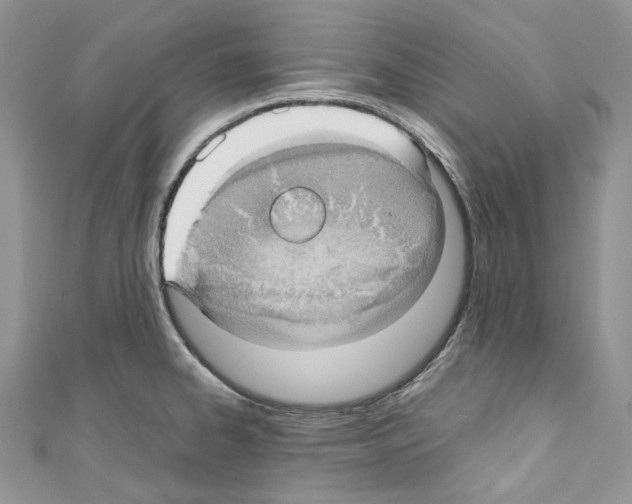 X0000110771334200907271156