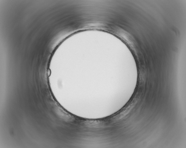 X0000110771336200907271156