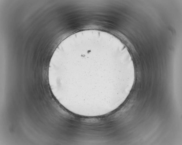 X0000110771337200907271156