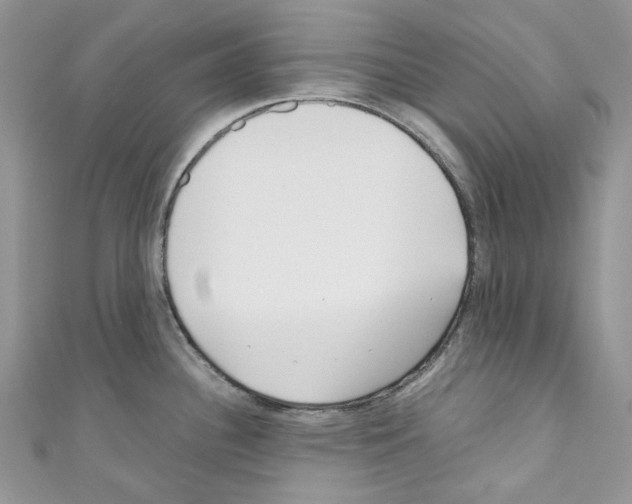 X0000110771340200907271156