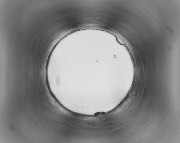 X0000110771341200907271156