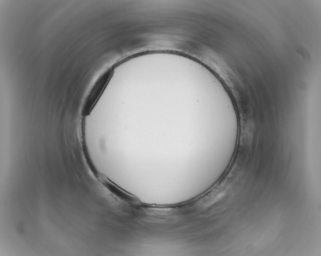 X0000110771342200907271156