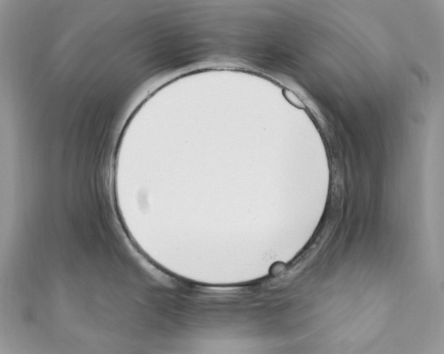 X0000110771343200907271156