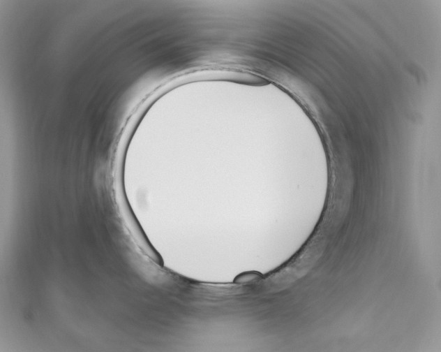 X0000110771344200907271156