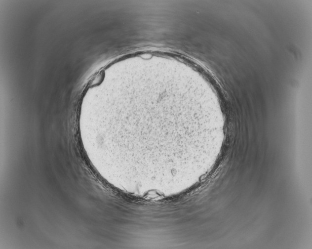 X0000110771359200907271155