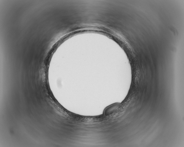 X0000110771360200907271155