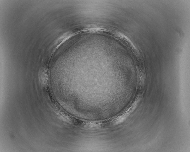 X0000110771361200907271155