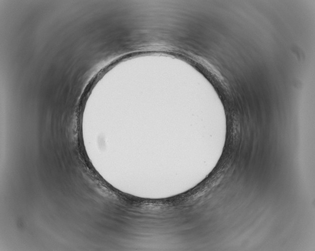 X0000110771364200907271155