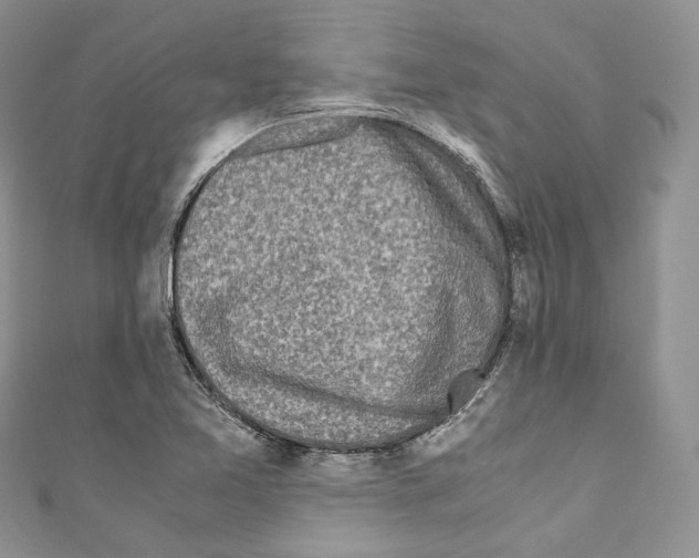 X0000110771365200907271155