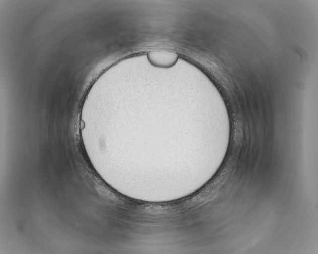 X0000110771366200907271155