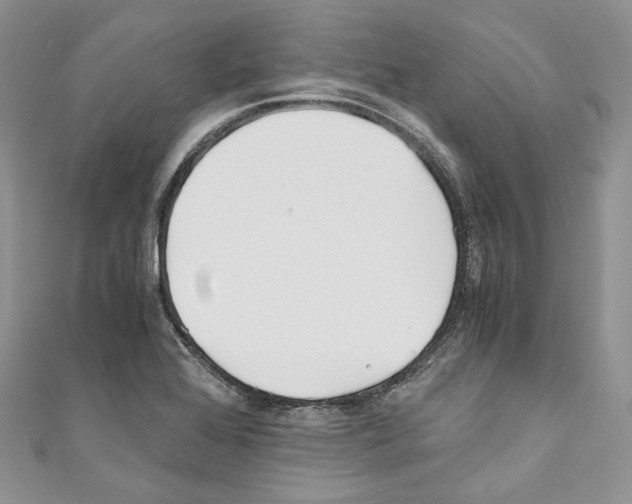 X0000110771368200907271155