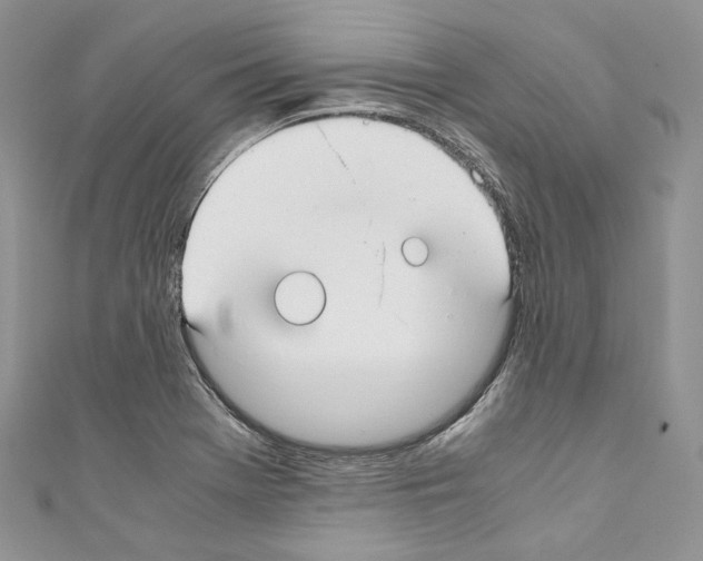 X0000110771369200907271155