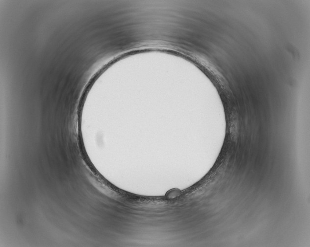 X0000110771372200907271155