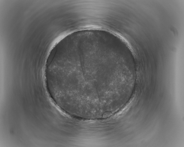 X0000110771373200907271155