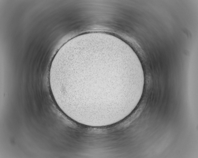 X0000110771374200907271155