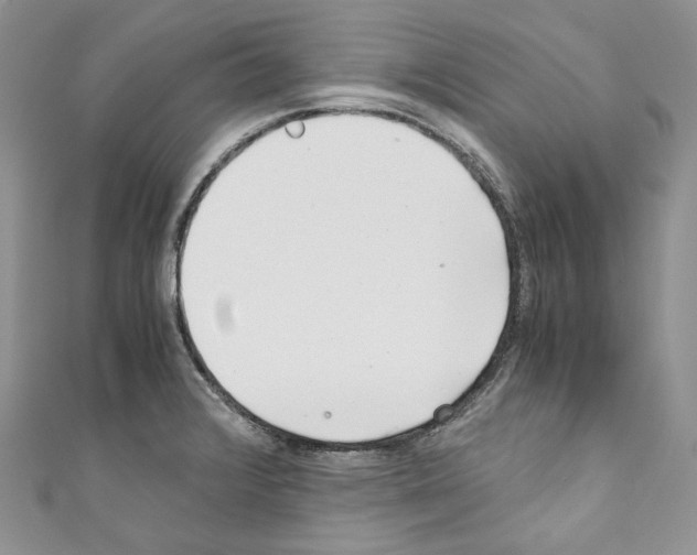 X0000110771376200907271155