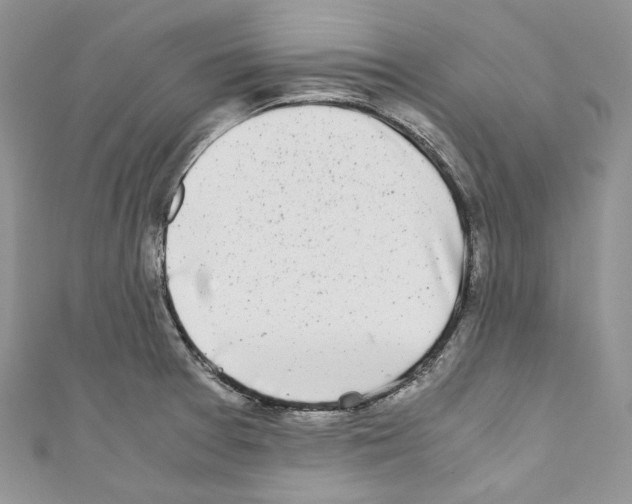 X0000110771377200907271155