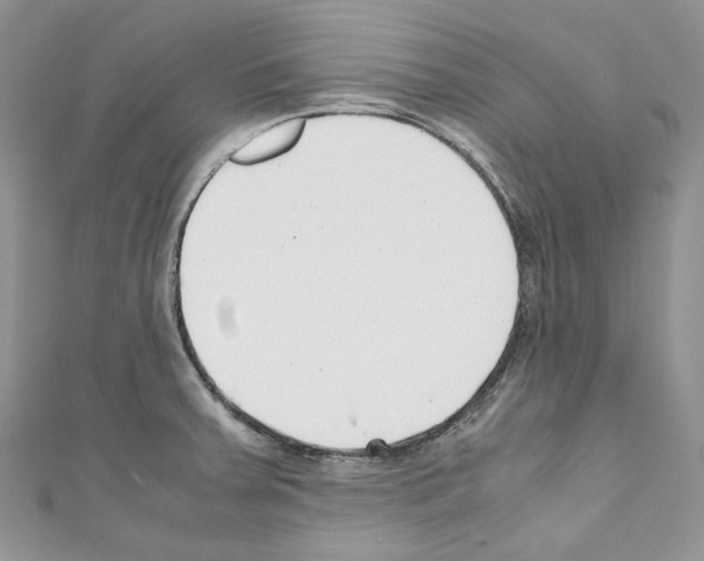 X0000110771379200907271155