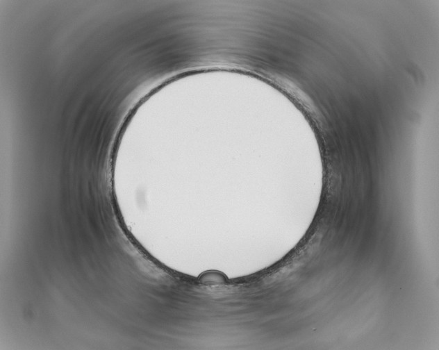 X0000110771380200907271155