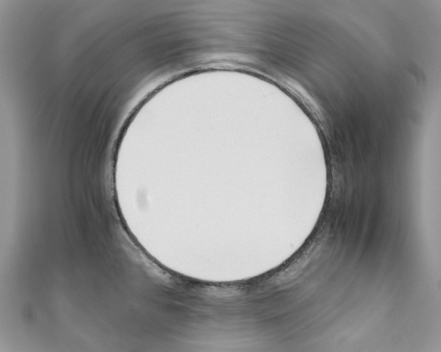 X0000110771384200907271155