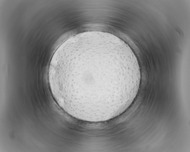 X0000110771386200907271155