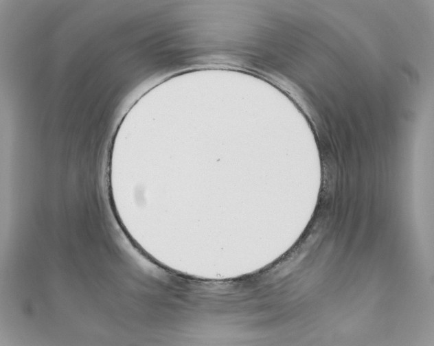 X0000110771387200907271155