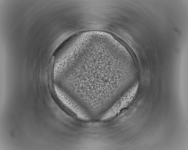 X0000110771389200907271155