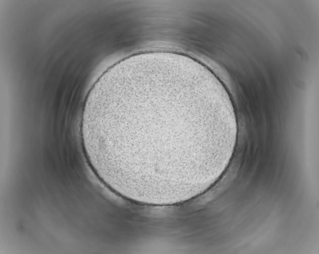 X0000110771390200907271155