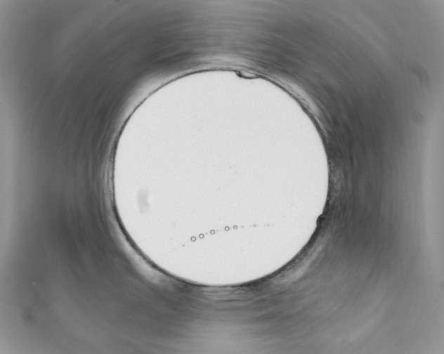 X0000110771391200907271155