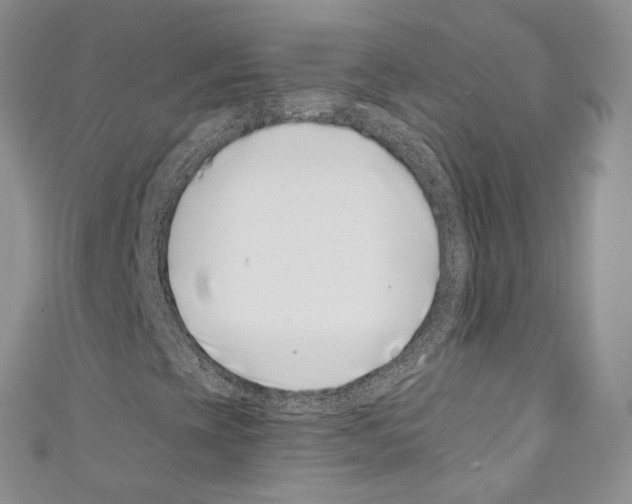 X0000110771393200907271154