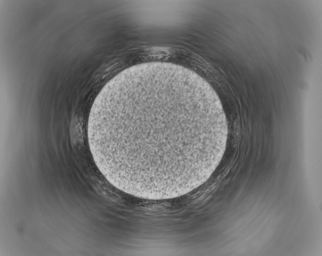 X0000110771394200907271154