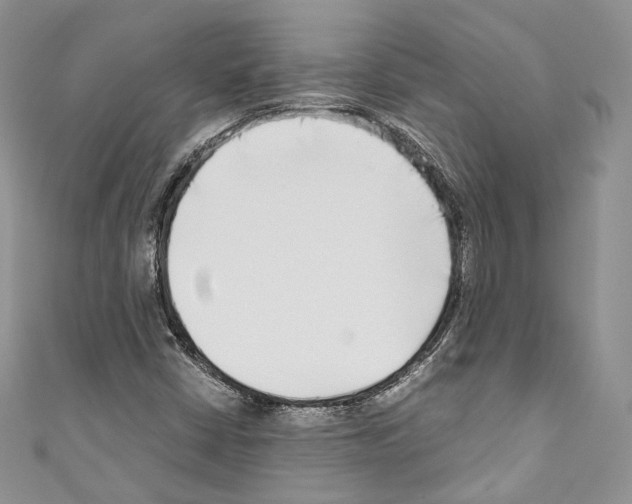 X0000110771402200907271154