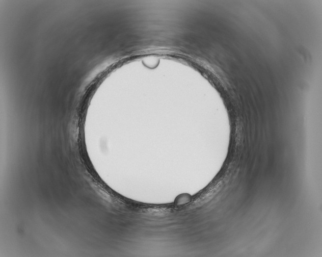 X0000110771406200907271154